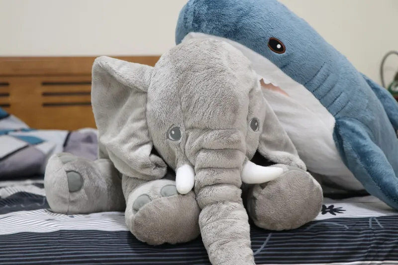 Soft on the Outside, Healing on the Inside: Why Gen Z Can't Stop Collecting Plushies